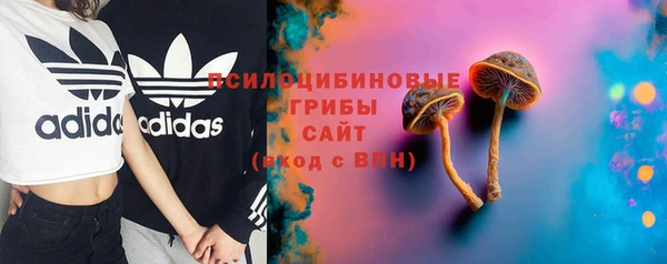 ПСИЛОЦИБИНОВЫЕ ГРИБЫ Белоозёрский