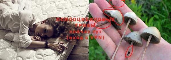 таблы Белокуриха