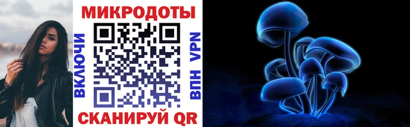 Псилоцибиновые грибы Psilocybe  дарнет шоп  Маркс 